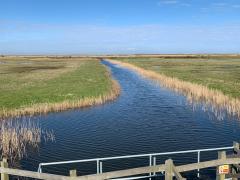 Walking around Norton Marsh between Burnham Overy Staithe and Brancaster Staithe